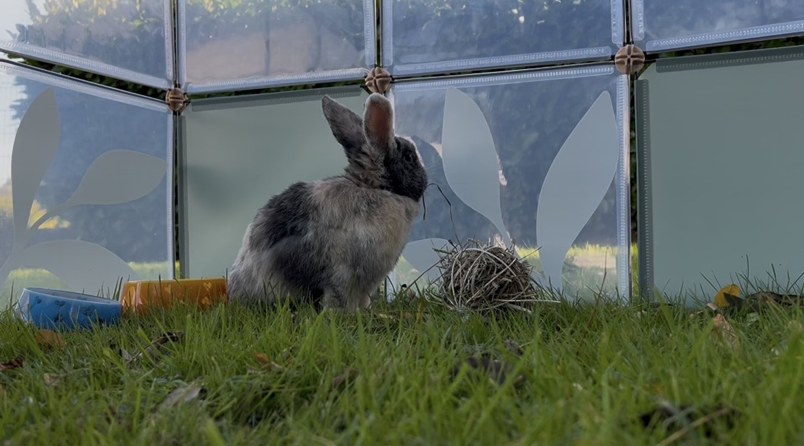 Melana et ses années de BTS