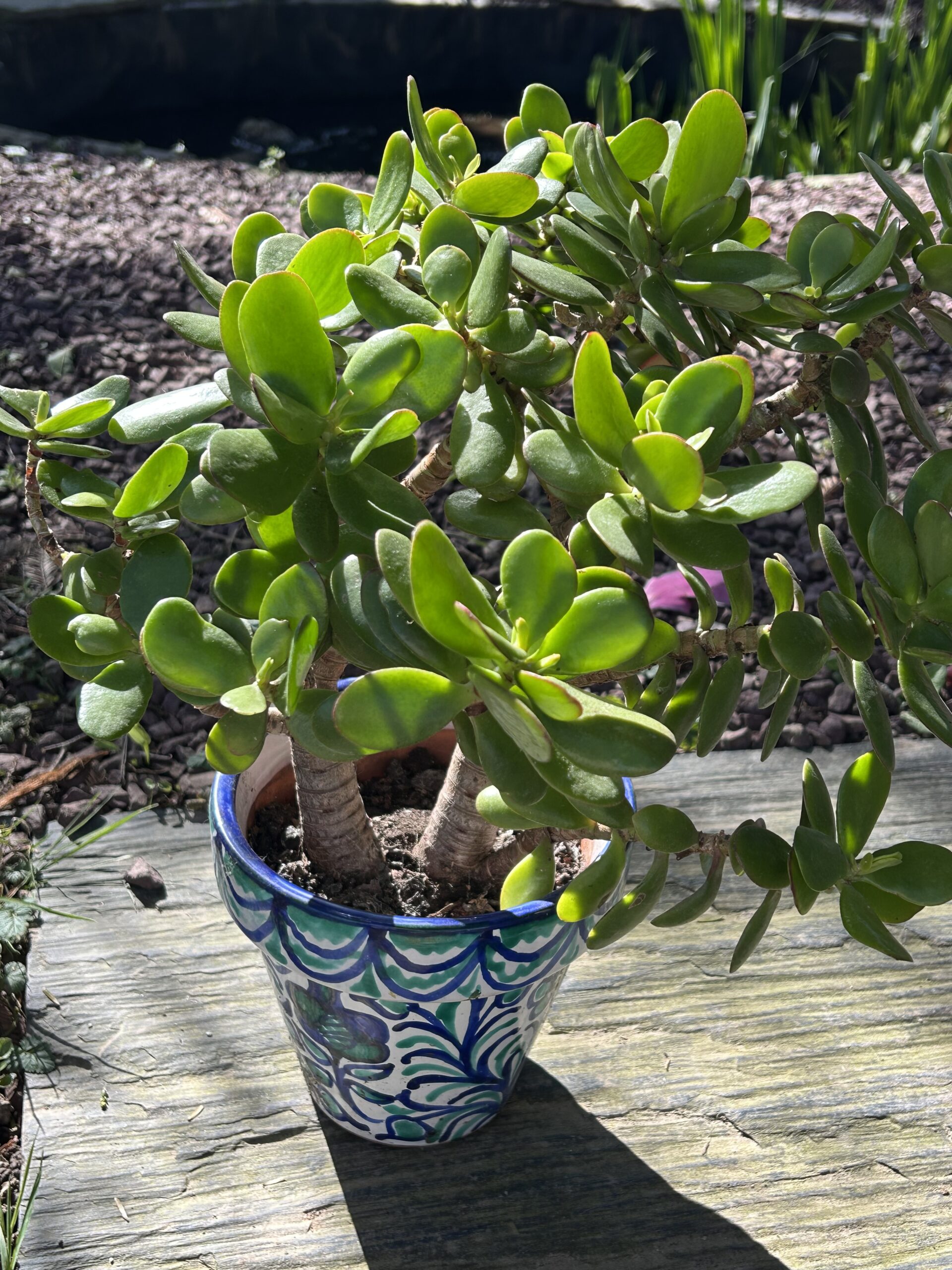 Melana et ses années de BTS